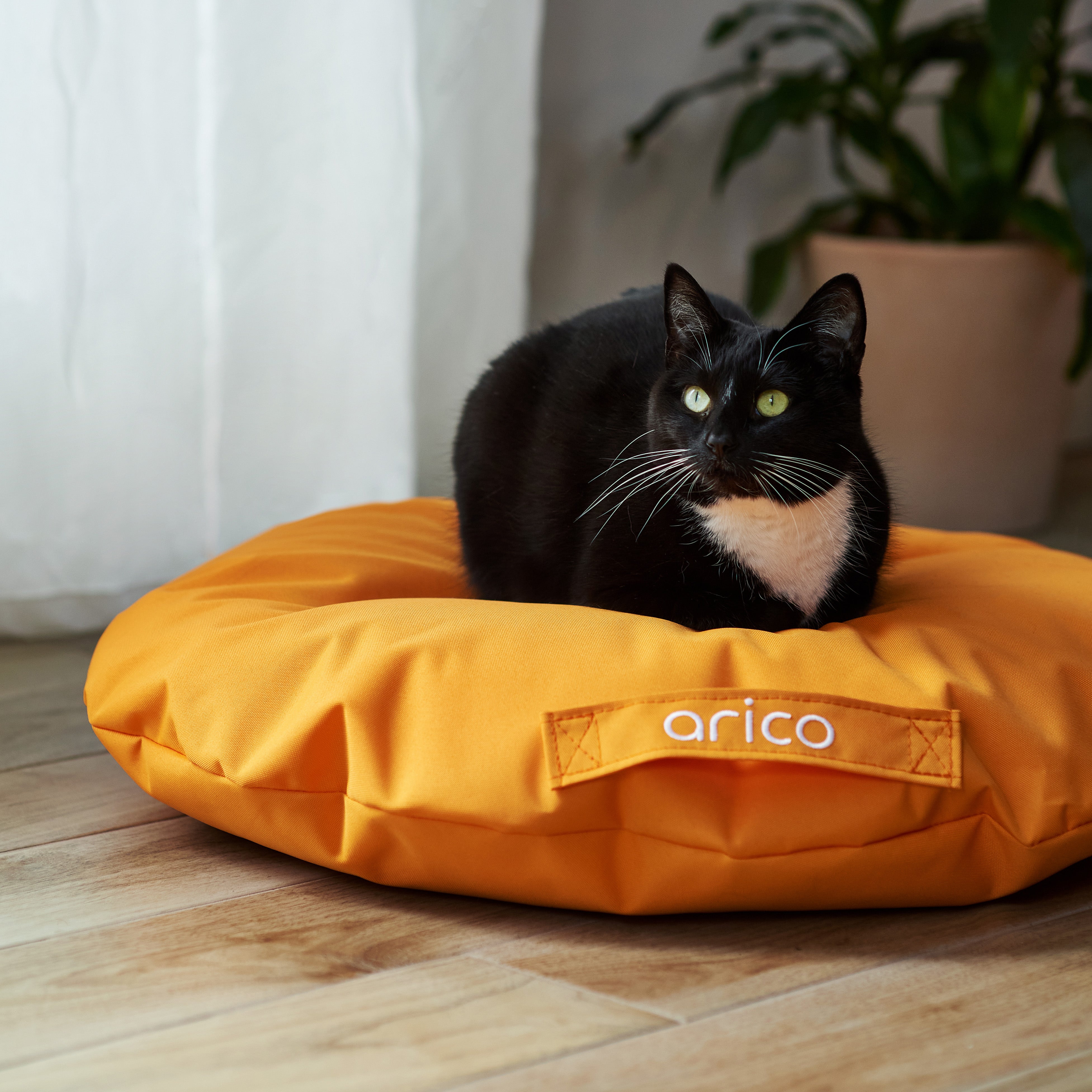 Coussin pour chien ARICO de format mini avec chat. Couleur clémentine.