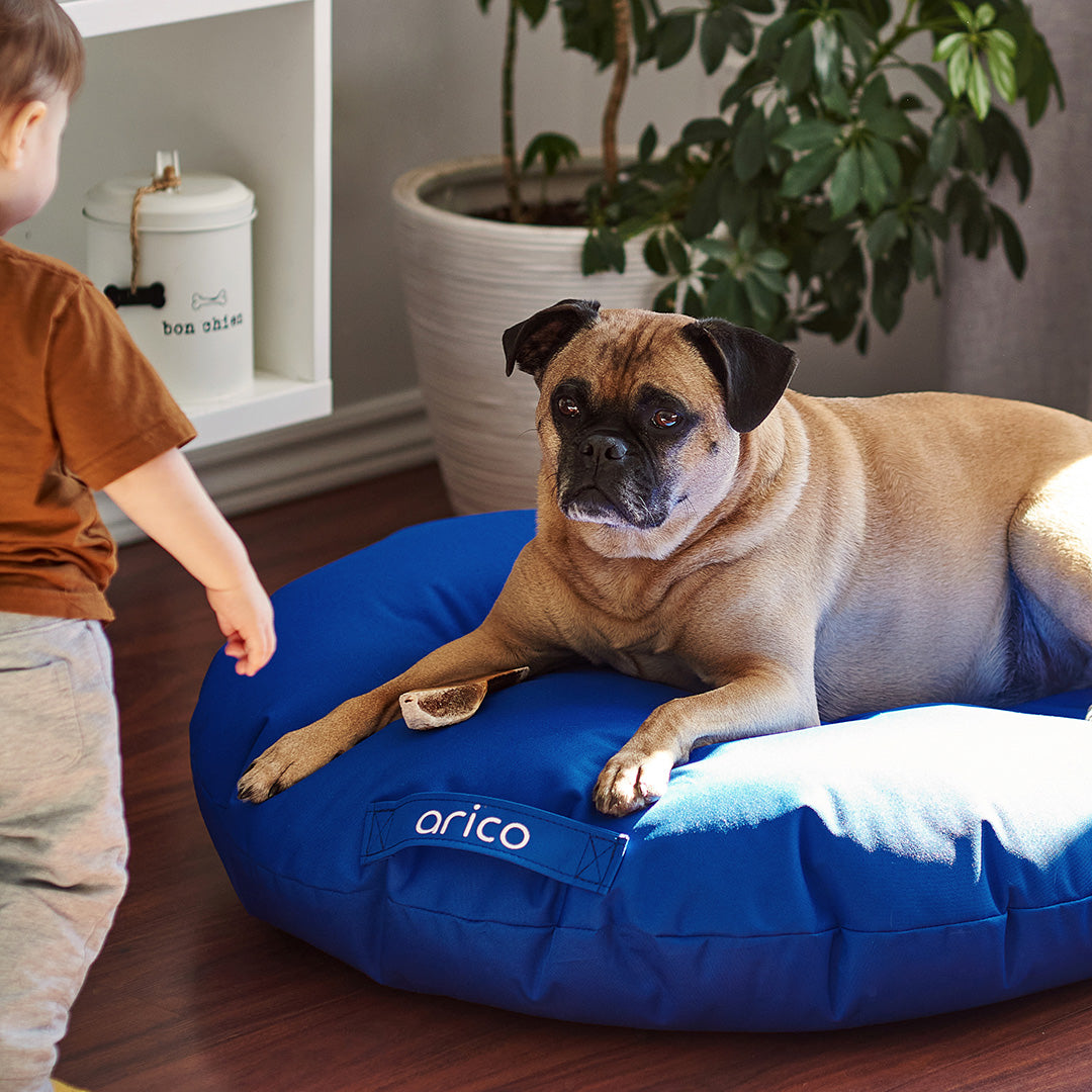 Coussin pour chien ARICO de format mini avec chien. Couleur indigo.