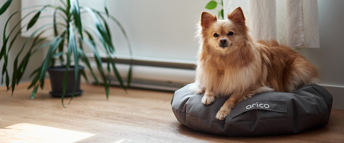 Produits pour animaux de ARICO