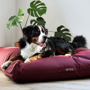 Chien couché sur un coussin pour chien Arico de couleur Bordeaux. 