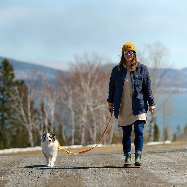 Laisse pour chien