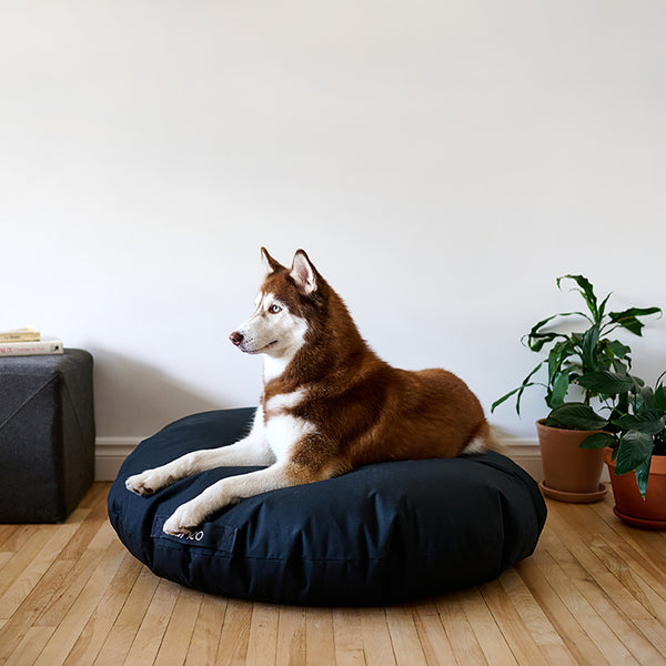 Cushion for animals