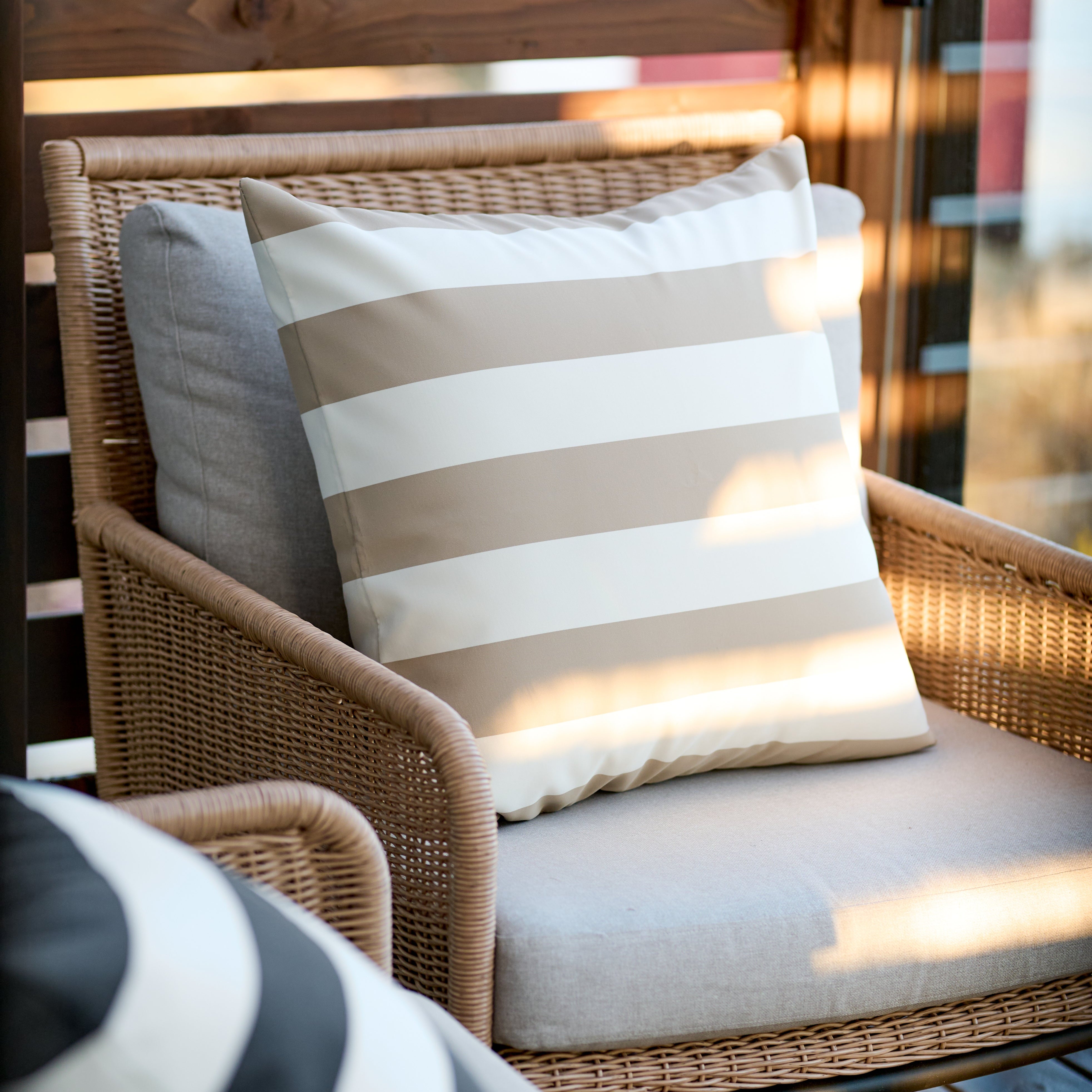 Agosto Decorative Cushions