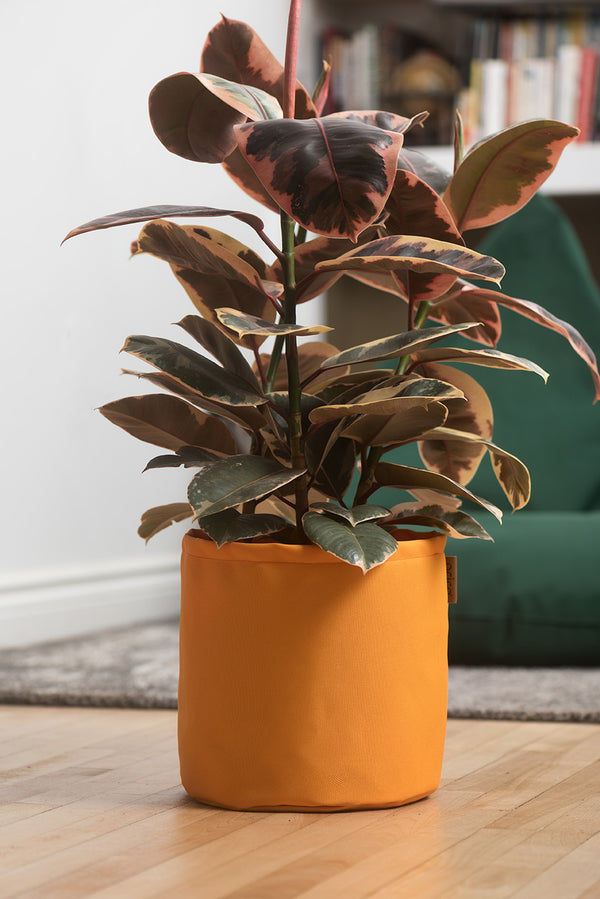 Cache-pots de couleur clémentine grandeur de 10 pouces avec plante