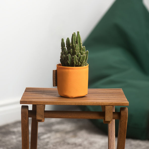 Cache-pots de couleur clémentine grandeur de 3 pouces avec cactus