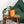 Load image into Gallery viewer, Cache-pots de couleur clémentine, grandeur de 4 pouces avec plante
