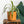 Load image into Gallery viewer, Cache-pots de couleur clémentine grandeur de 6 pouces avec plante
