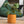 Load image into Gallery viewer, Cache-pots de couleur clémentine grandeur de 8 pouces avec plante
